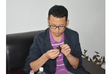 中國(guó)農(nóng)業(yè)大學(xué)副教授